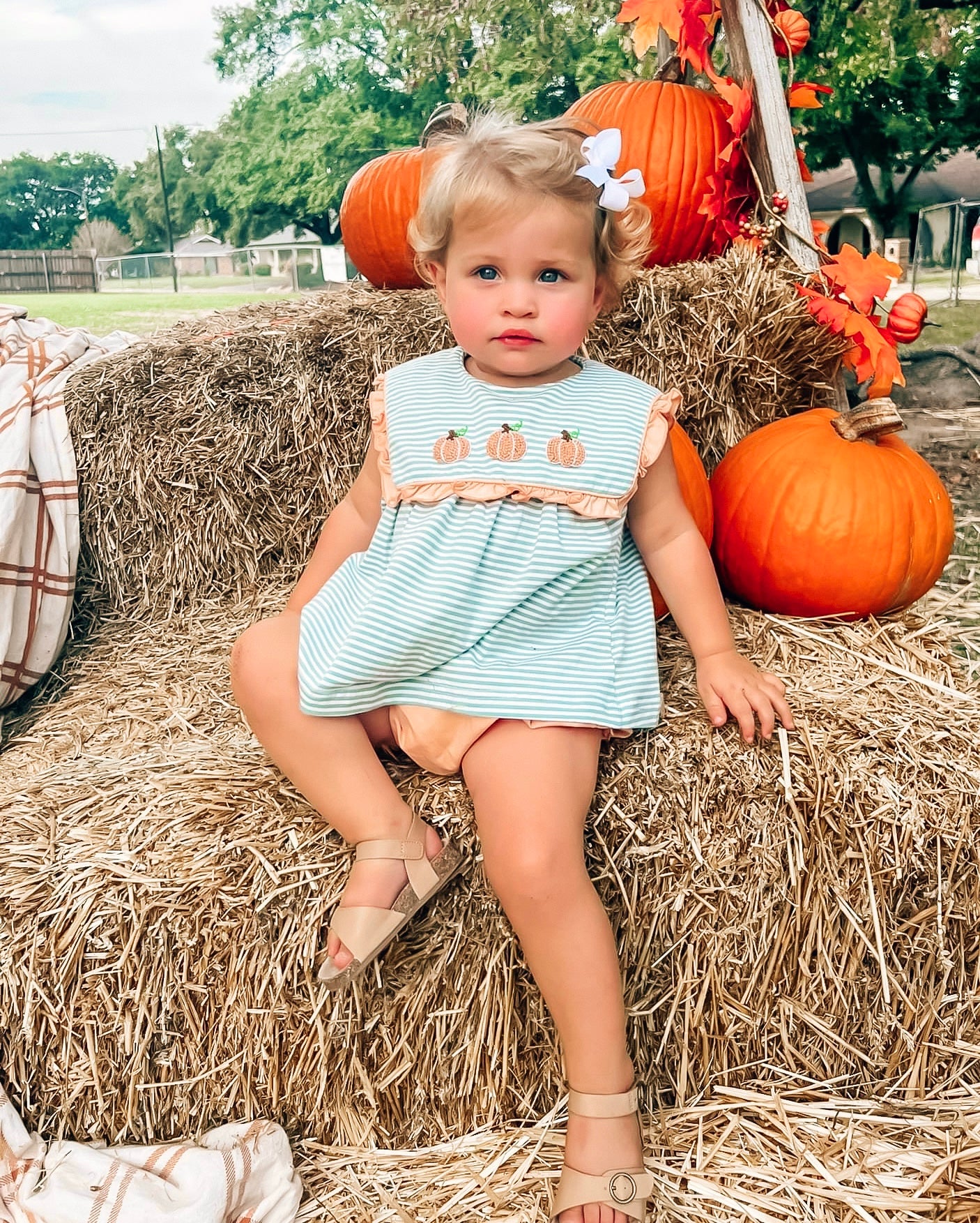 Fall Extras Drop Little Bluebird Smocks Fall Extras Drop Little Bluebird Smocks