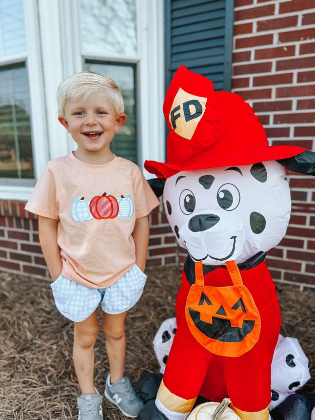 Boys Pumpkin Appliqué Short Set RTS