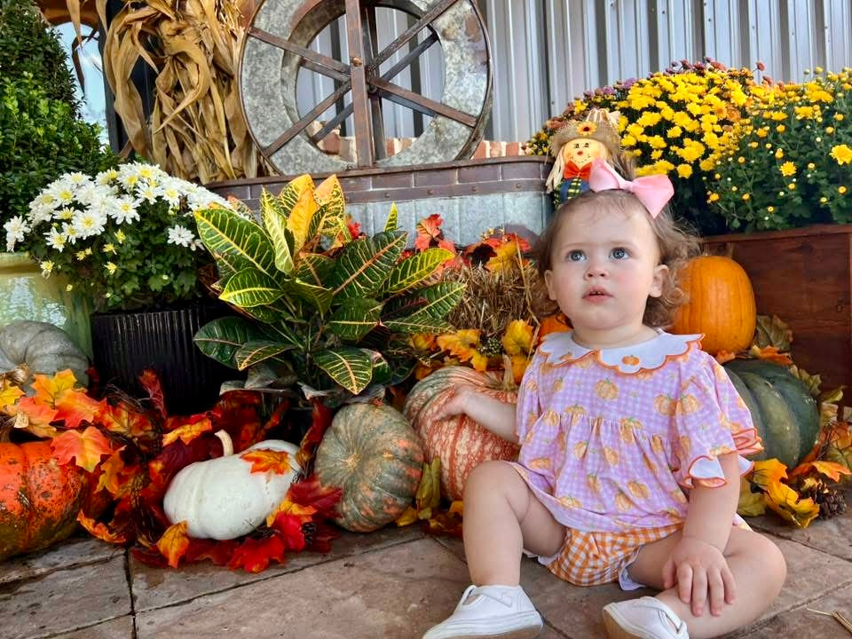 Girls Gingham Pumpkins Bloomer Set