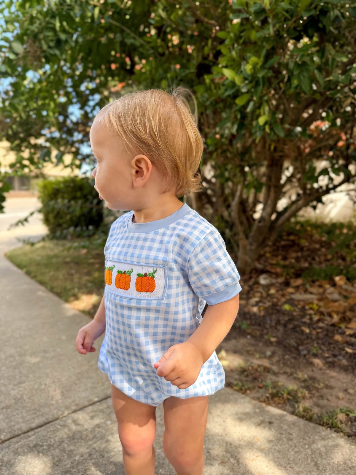 Boys Smocked Gingham Pumpkins Bubble