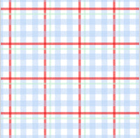 Mens Patriotic Plaid Swim Trunks