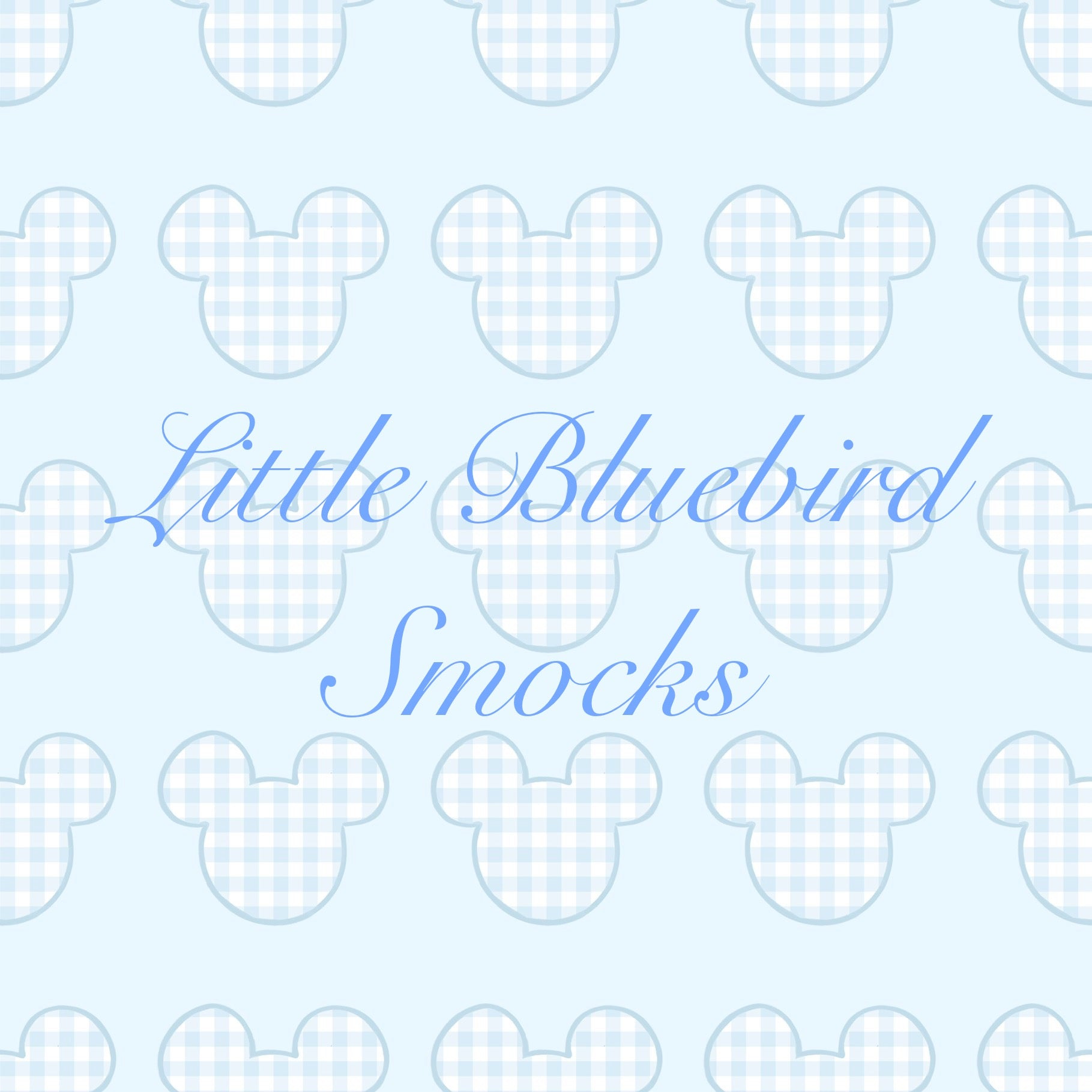 Boys Gingham Mouse 2-Piece Swim Trunk Set