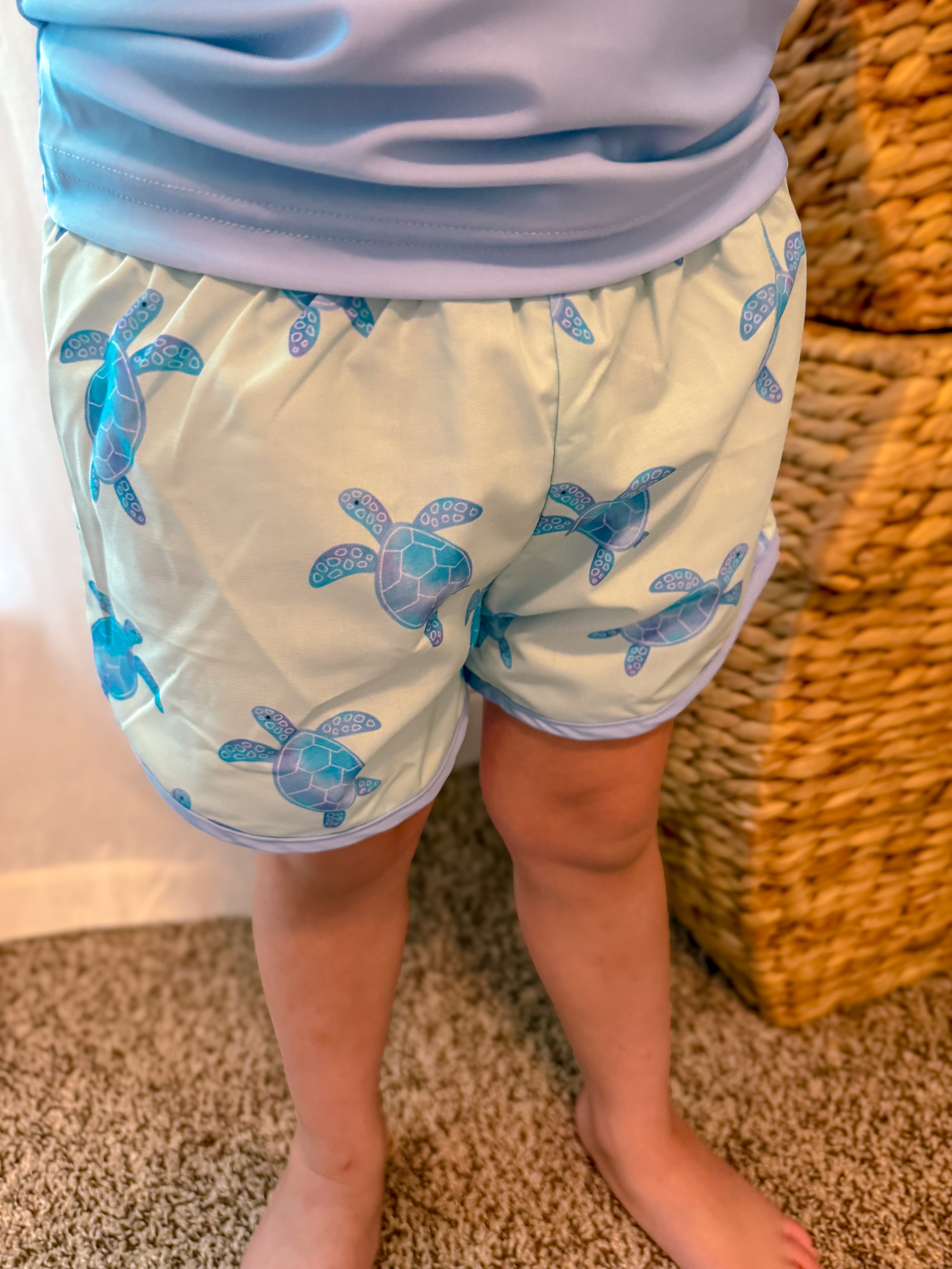 Boys Sea Turtle Swim Trunks