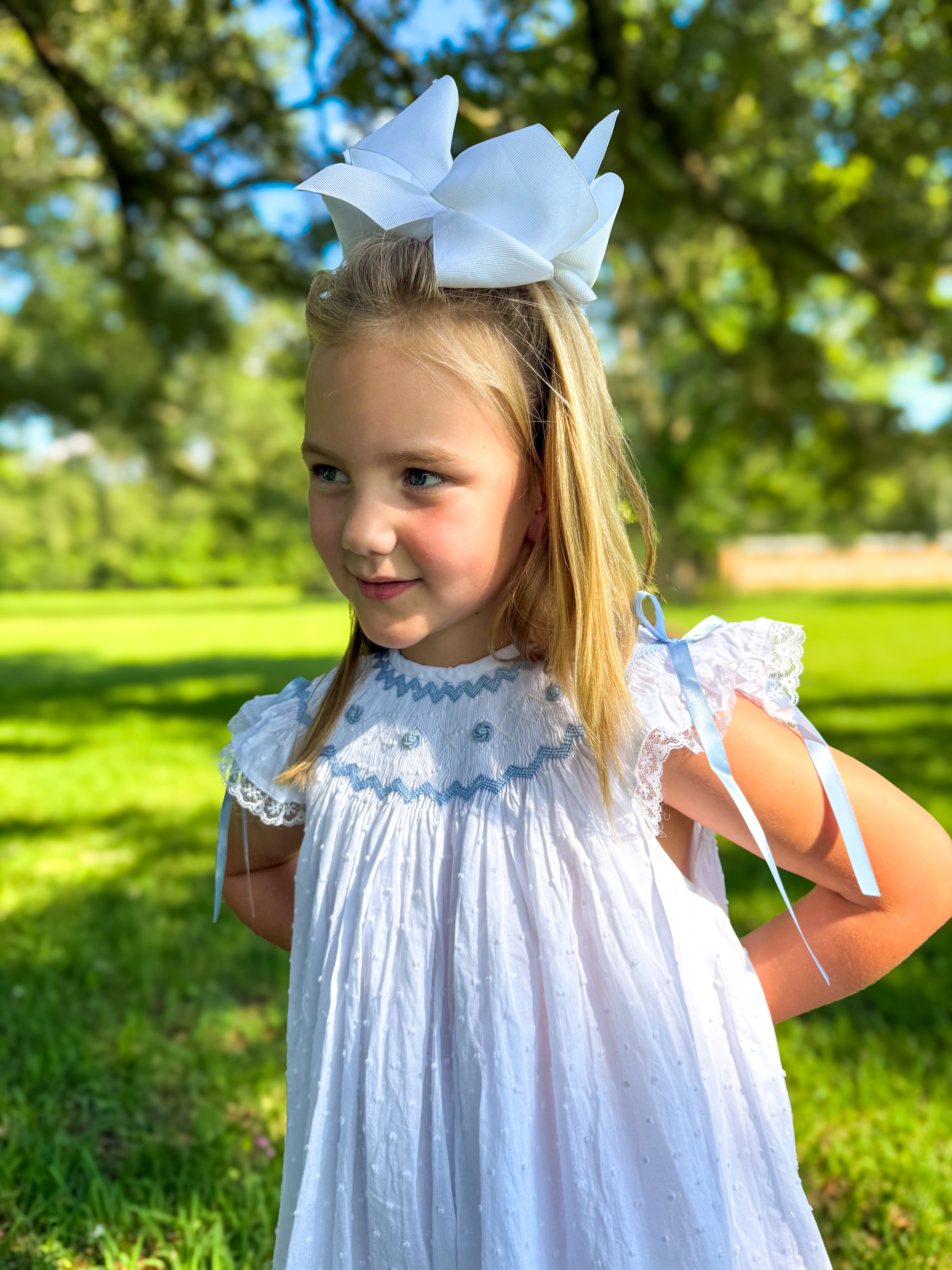 Timeless Traditions White Swiss Dot Collection BLUE Dress