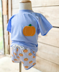 Boys Gingham Pumpkins Short Set
