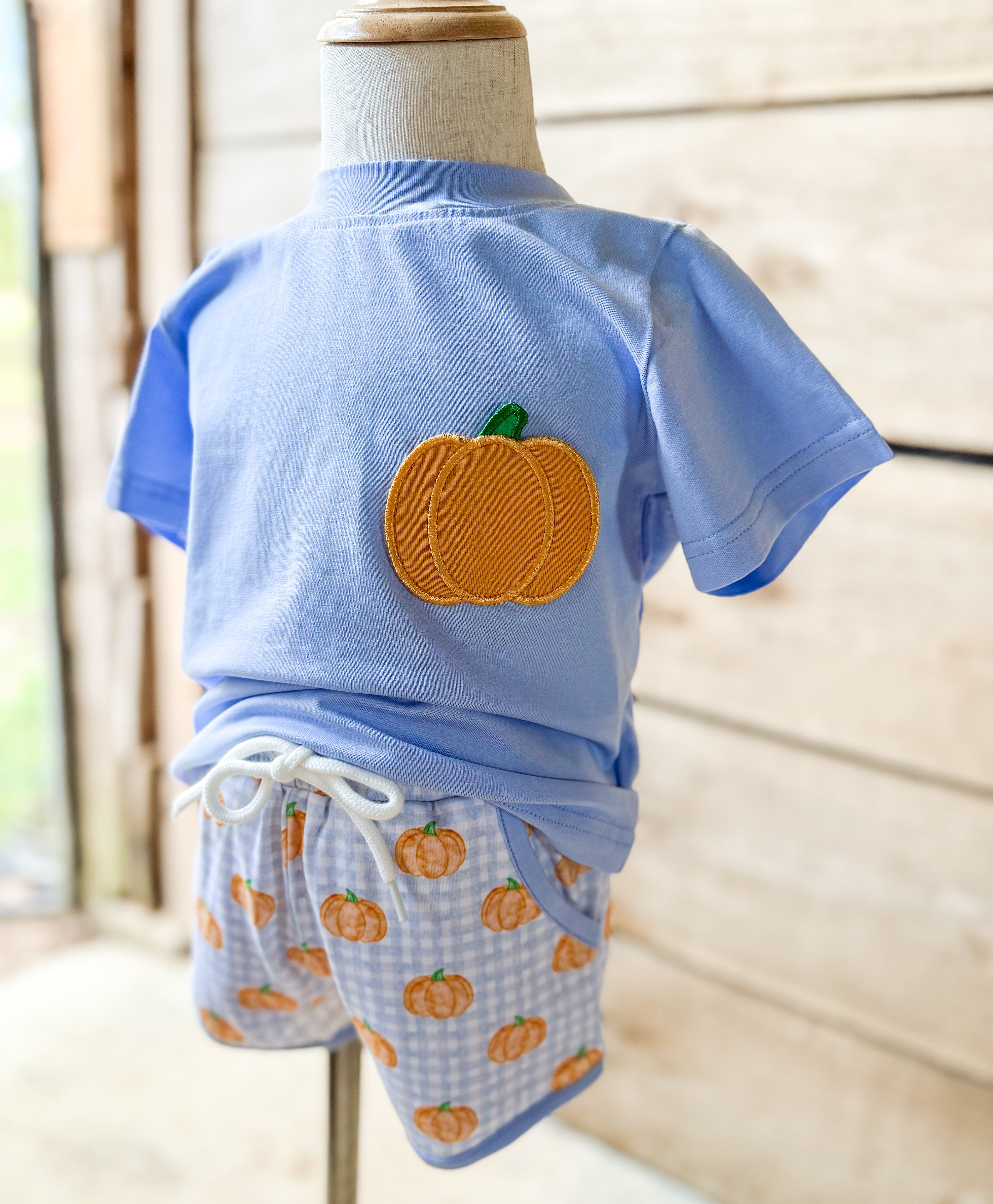 Boys Gingham Pumpkins Short Set