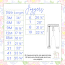 Boys Airplane Jogger Set