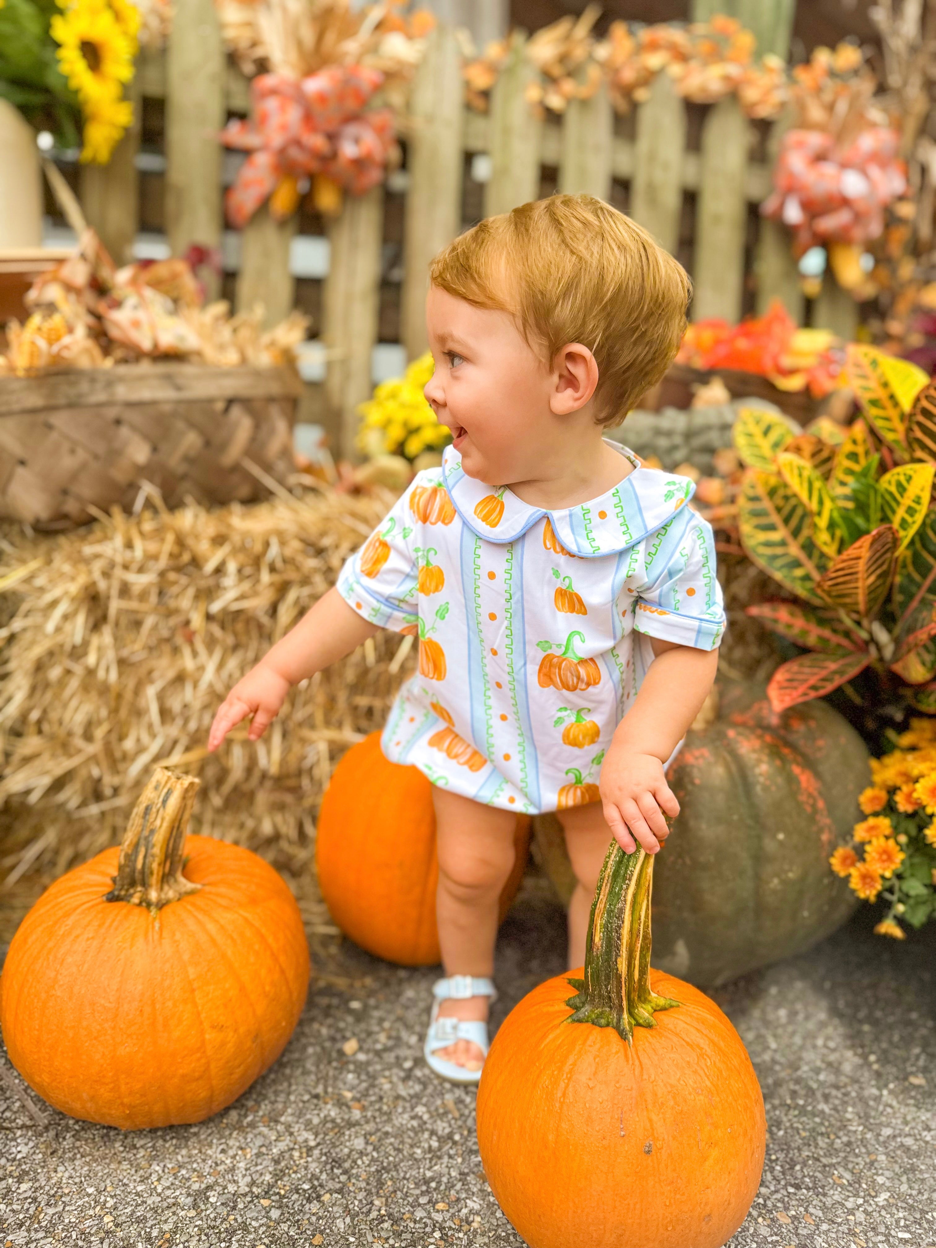 Meet Me at the Pumpkin Patch Bubble