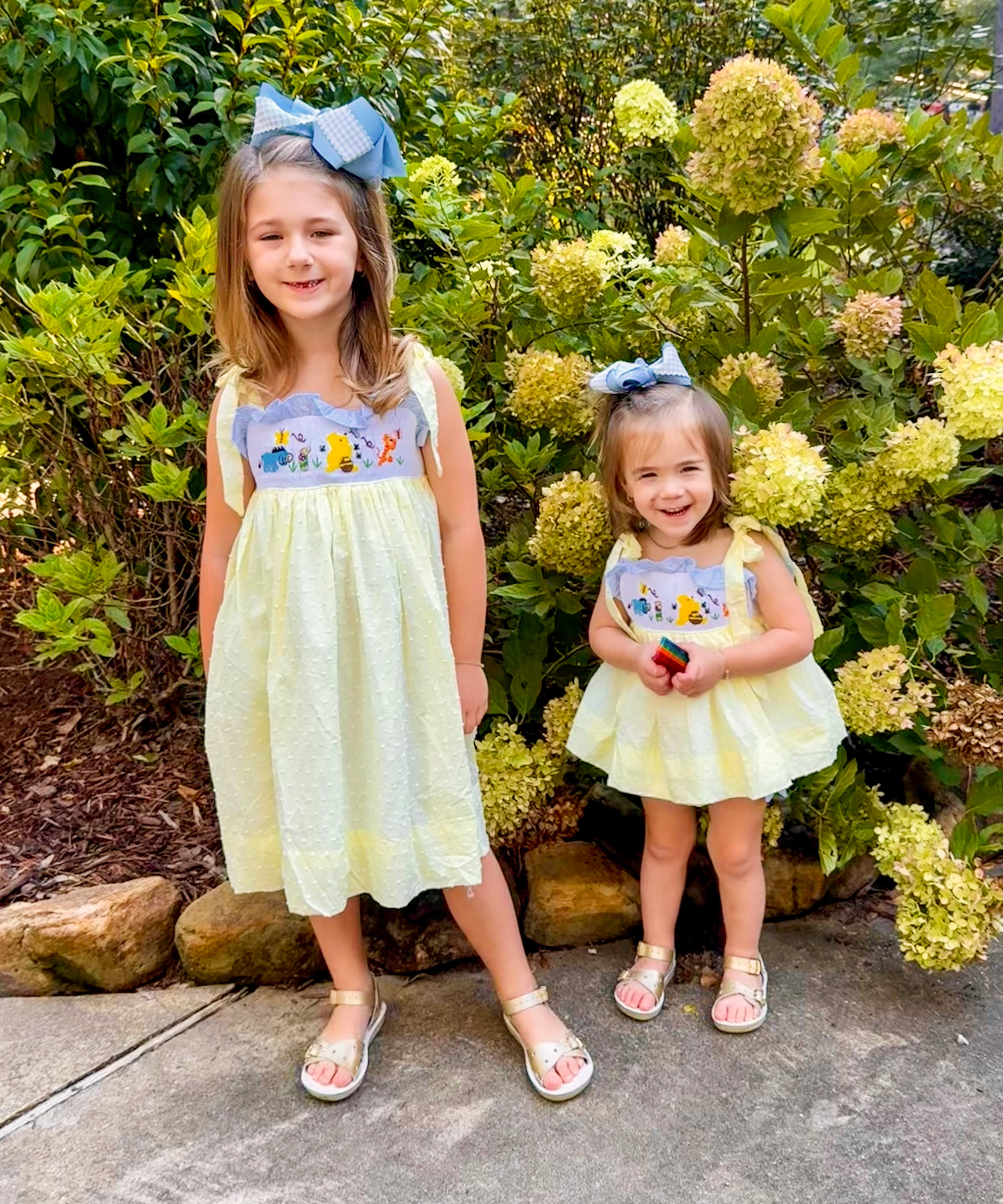 Girls 100 Acre Friends Dress RTS