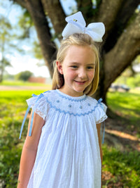 Timeless Traditions White Swiss Dot Collection BLUE Dress