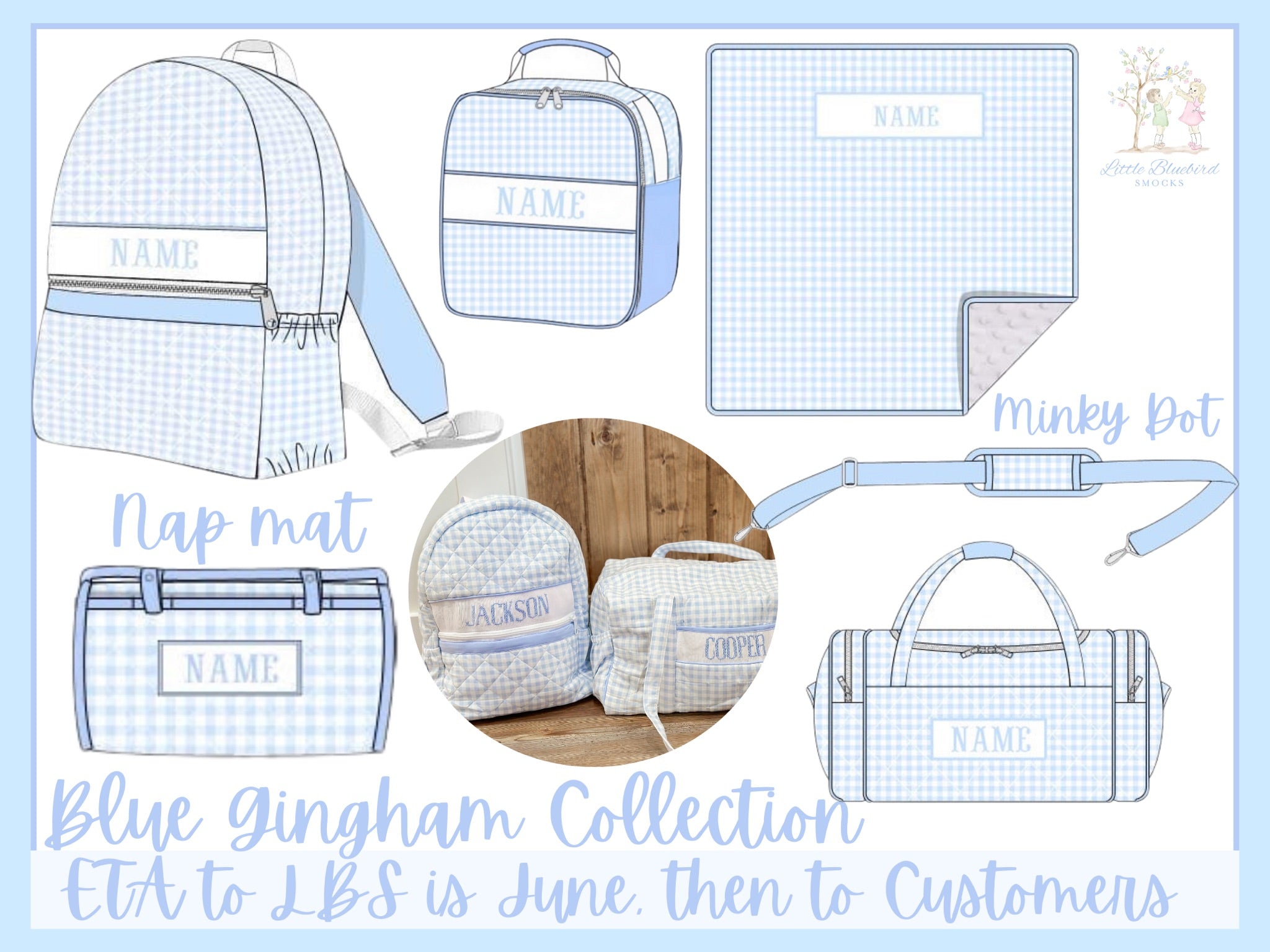PRE ORDER Blue Gingham Luggage Collection | ETA to LBS: DECEMBER