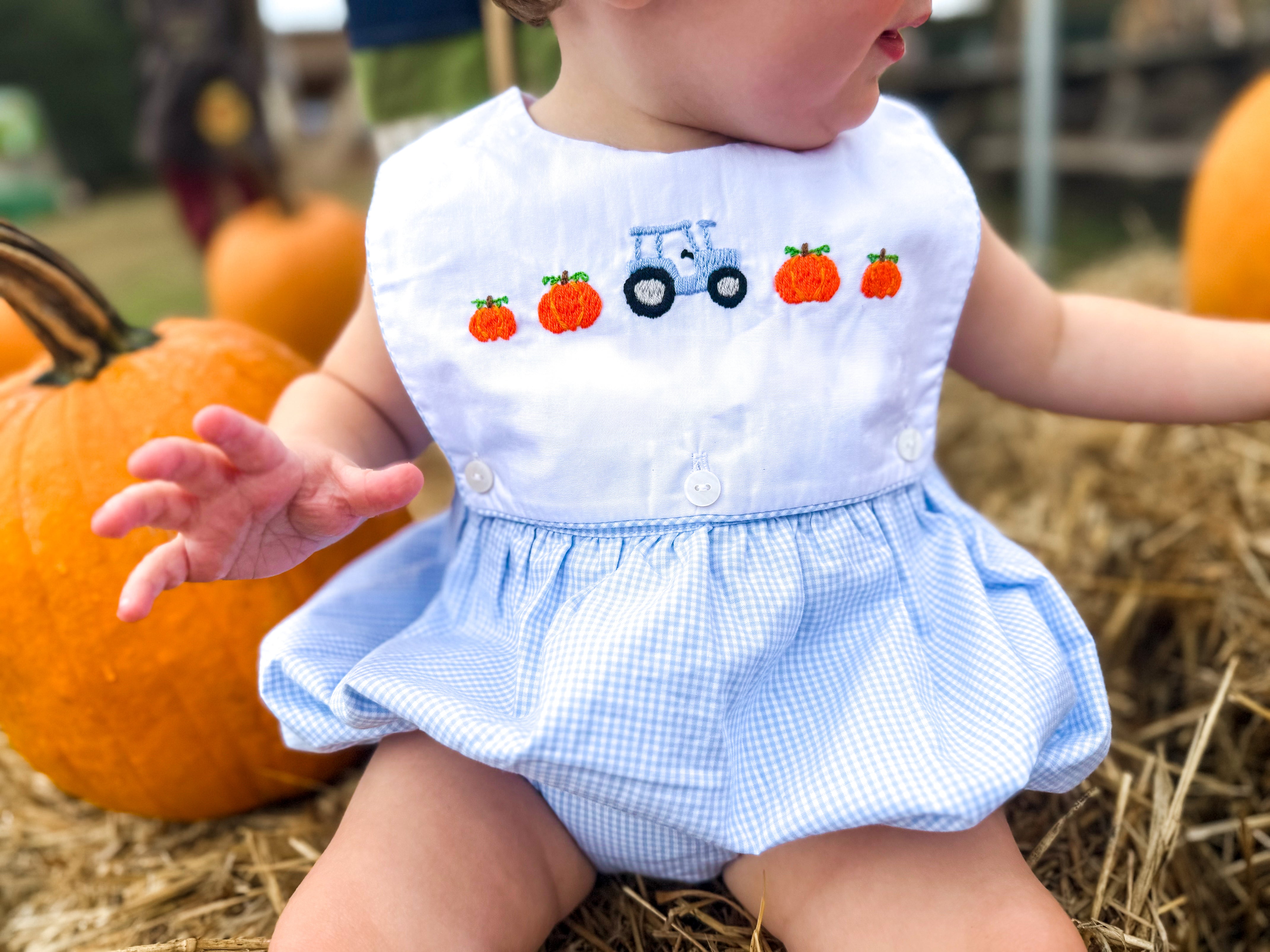 Boys Pumpkin and Turkey Exchangeable Bib Bubble