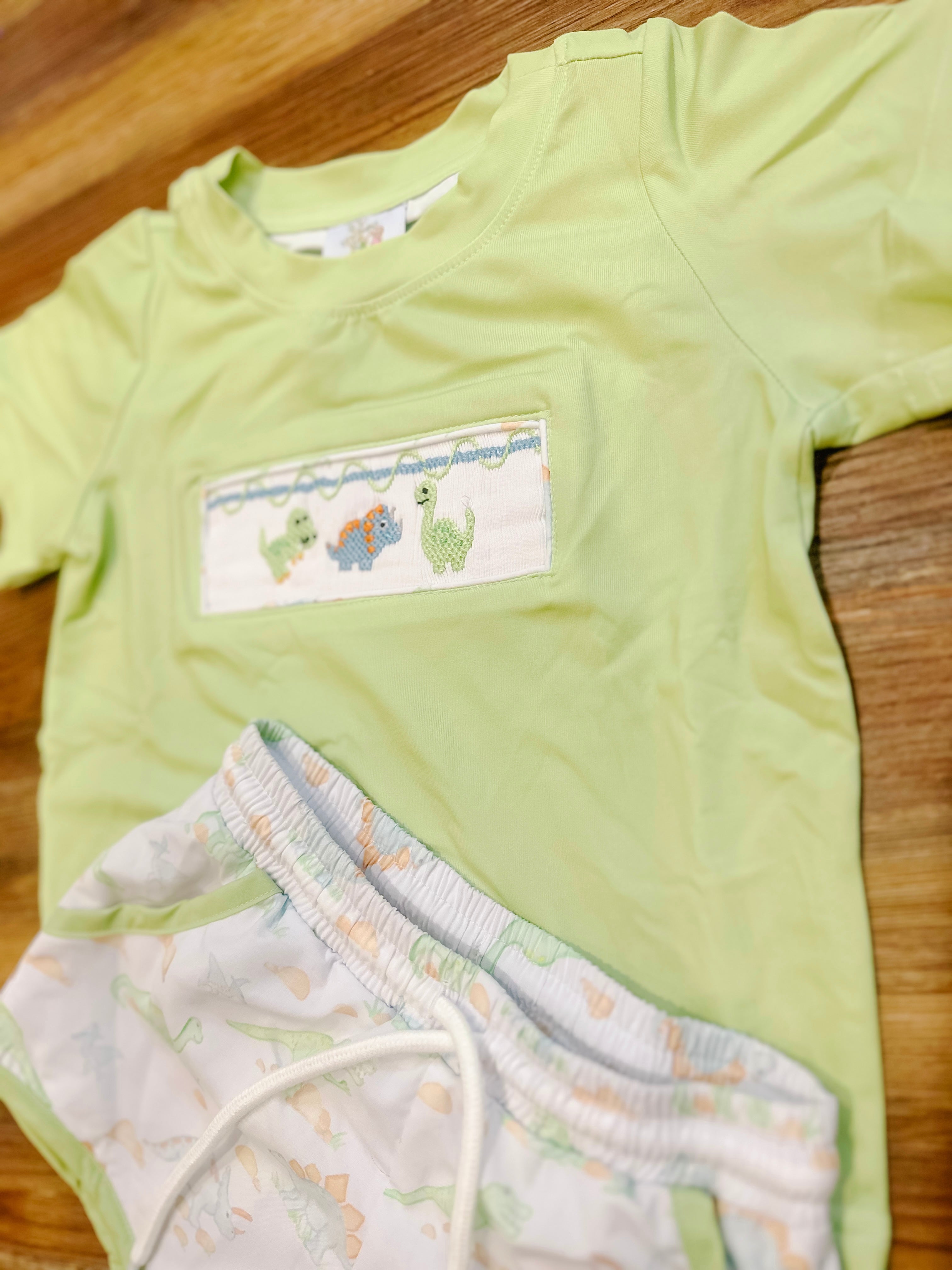 Boys Smocked Dinosaurs Short Set