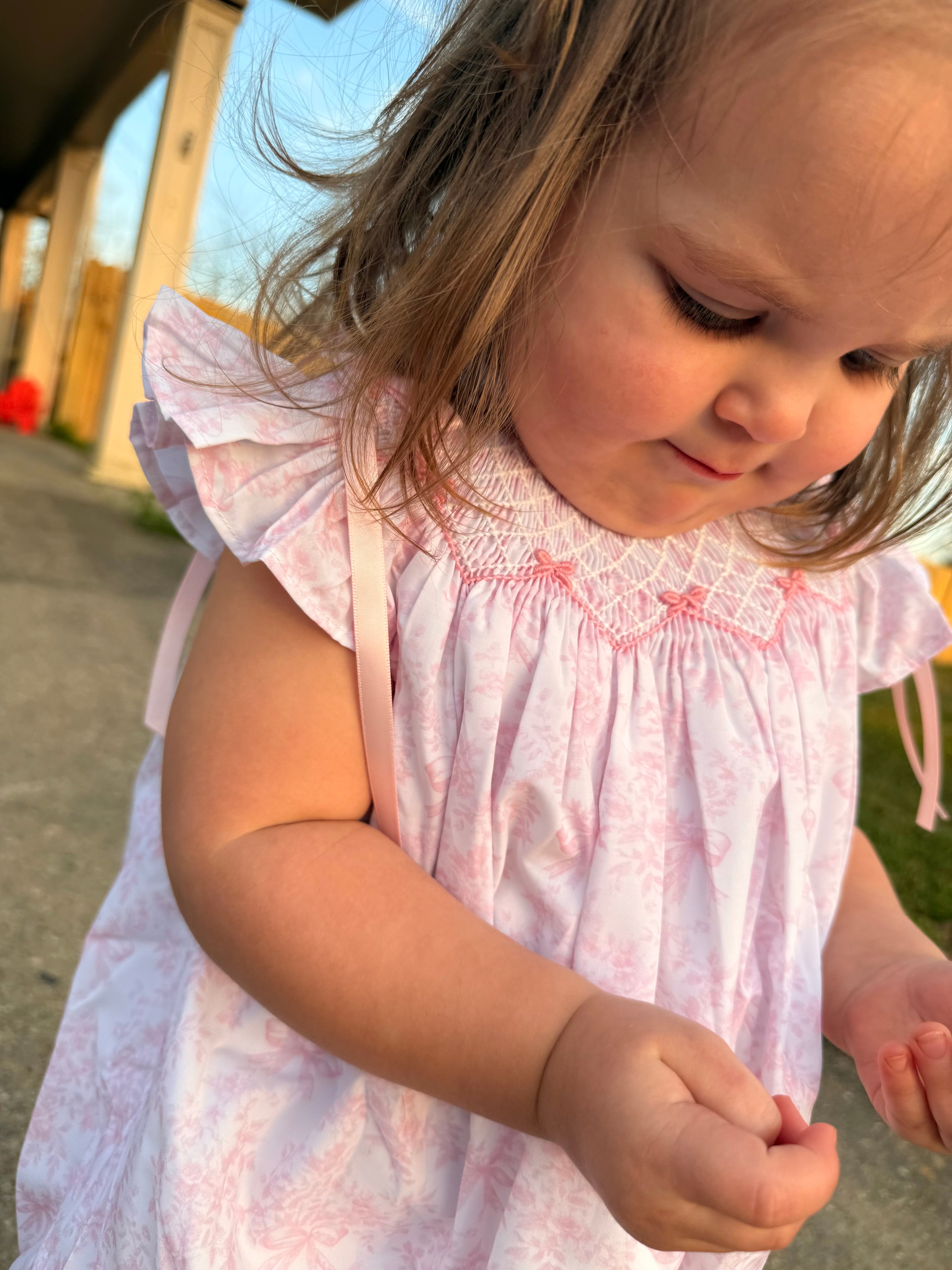 Girls Toile Garden Bows Smocked Bubble