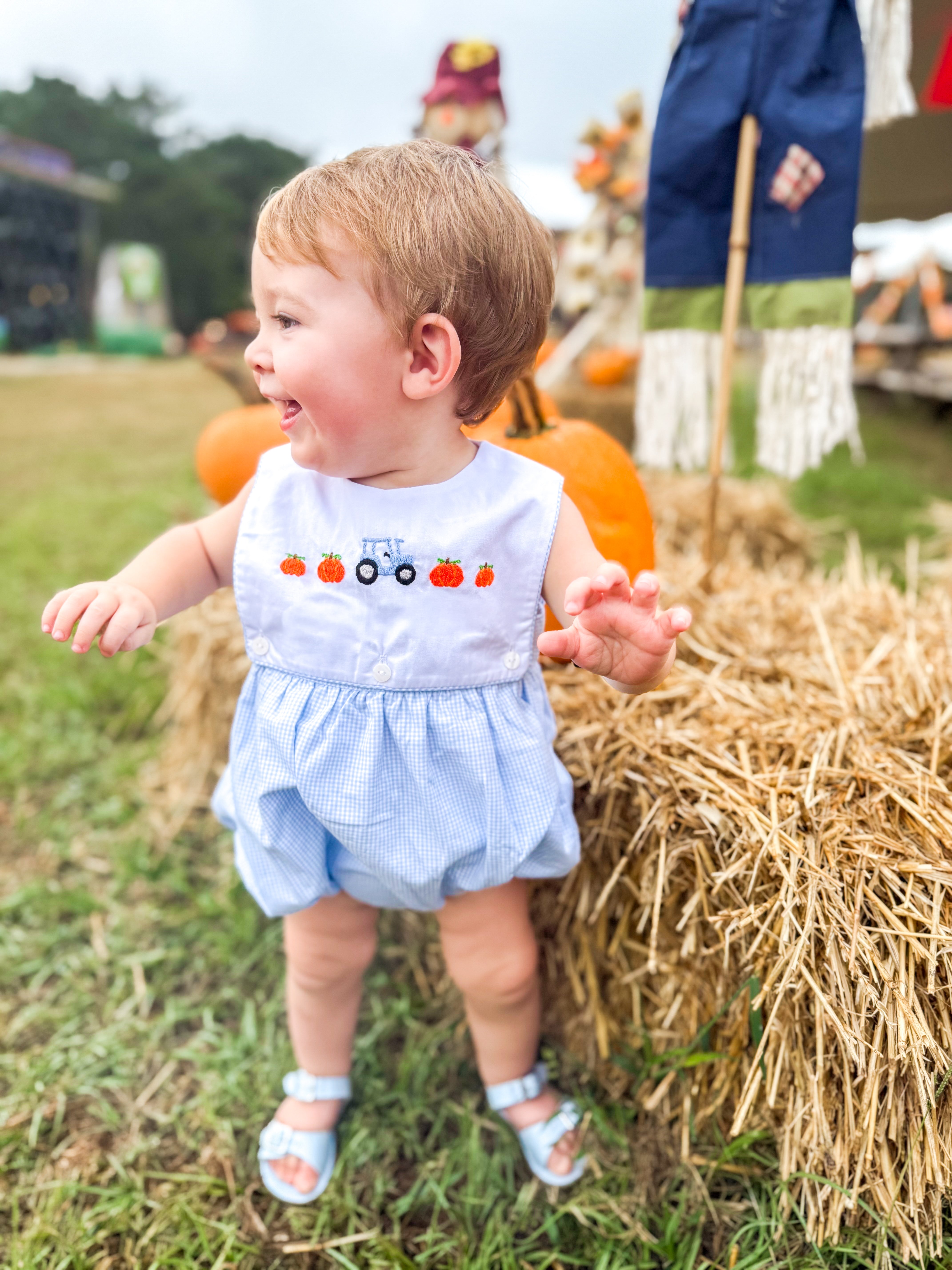 Boys Pumpkin and Turkey Exchangeable Bib Bubble