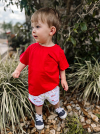 Boys Transportation Short Set